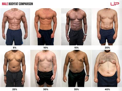 body fat pictures